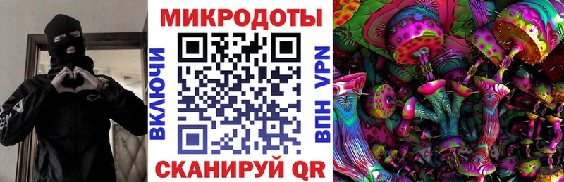 Псилоцибиновые грибы Psilocybine cubensis  площадка формула  Сольцы 
